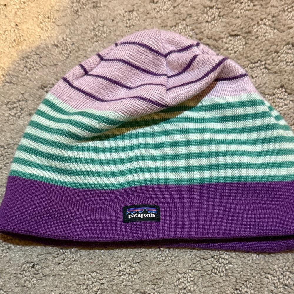 Patagonia Kids Purple and Green Striped Hat